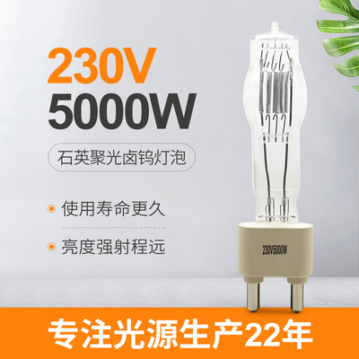 230V 5000W G38 Studio Quartz Light Bulb Boat Halogen Lamp 180mm 125000lm